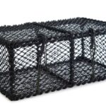 2698 Sanketeine Standard