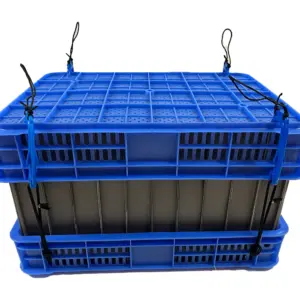 Sanketeine kreps 60*41*11cm