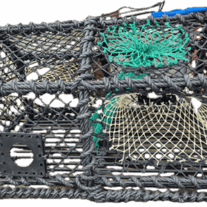 Krabbe/hummerteiner 8,5kg