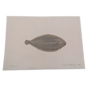 Litografi - Sjøtunge