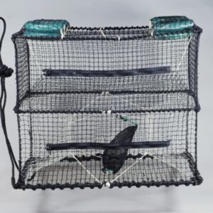 Havteine - Medium / uten flyteelementer