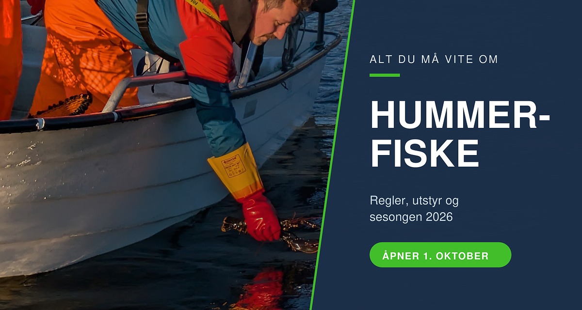 Fisker setter ut hummer fra bat med teiner i baugen